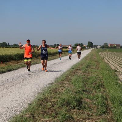 Img 9146