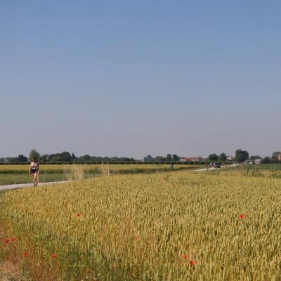 Img 9366