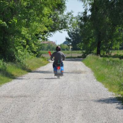 Dsc 1379