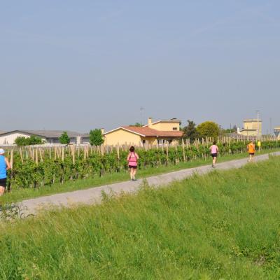 Dsc 1885