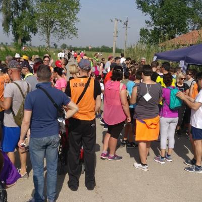 Img 20180429 095546