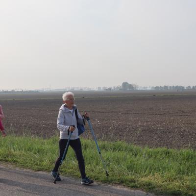 Img 7375