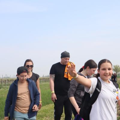 Img 7639