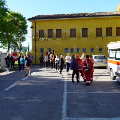 Dsc00501