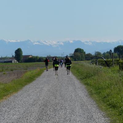 Image00011