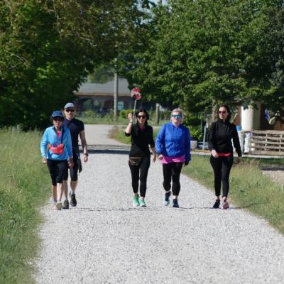 Image00164